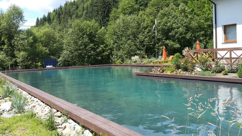 Gallery Of Mountains Holiday Home Yasinya Exterior photo