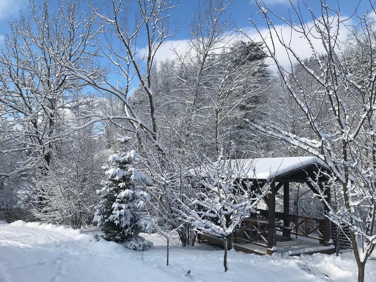 Gallery Of Mountains Holiday Home Yasinya Exterior photo